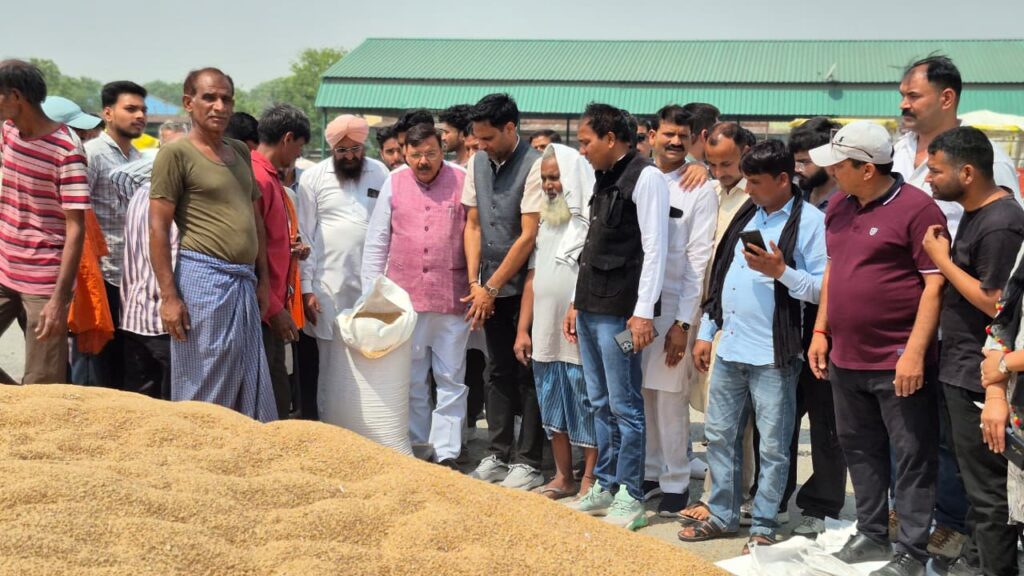 किच्छा: नई मंडी में गेहूं खरीद का विधिवत शुभारंभ, किसानों में उत्साह